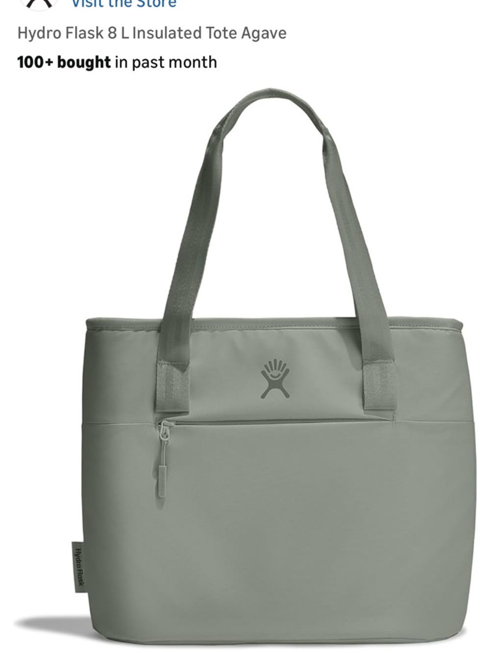 Hydroflask Insulated Tote 8L